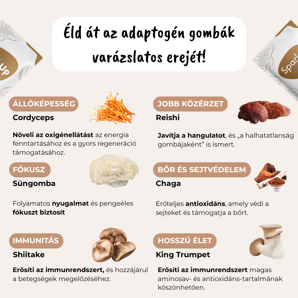 Magyarország legjobb és legfinomabb gombakávéja