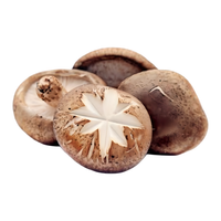 Shiitake