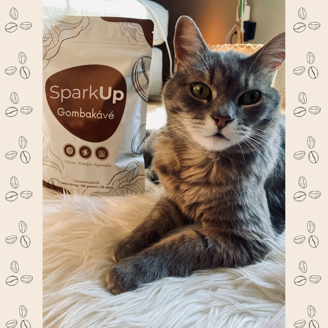 Előfizetés - SparkUp™ - Gombás kávé /30 adag/