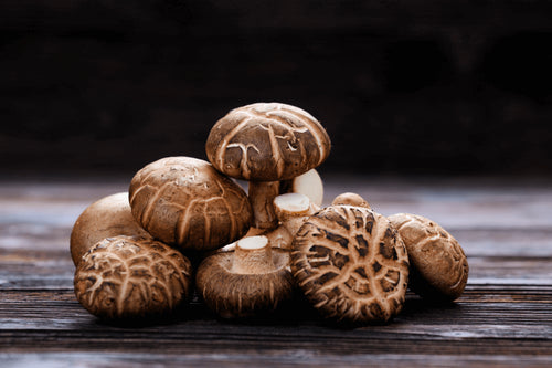 Shiitake